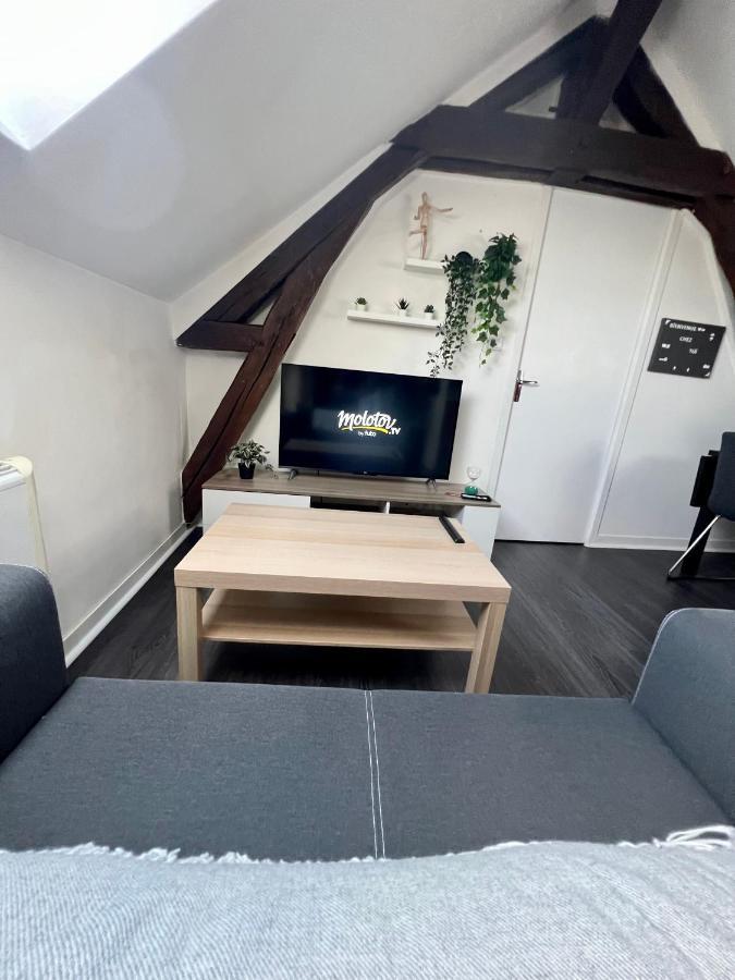 Bel Appartement Lumineux 35M2, Bord De Loire Saint-Jean-le-Blanc Eksteriør billede