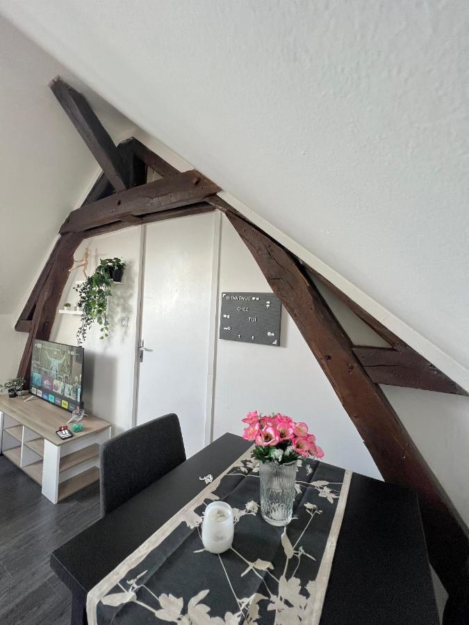 Bel Appartement Lumineux 35M2, Bord De Loire Saint-Jean-le-Blanc Eksteriør billede
