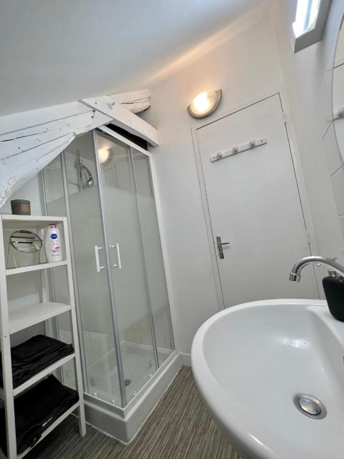 Bel Appartement Lumineux 35M2, Bord De Loire Saint-Jean-le-Blanc Eksteriør billede