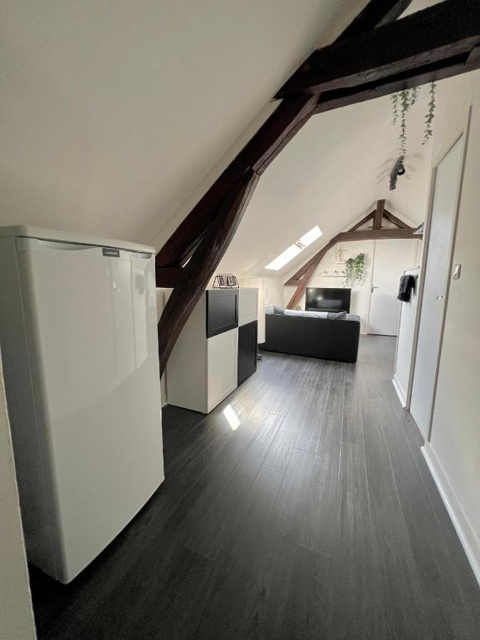 Bel Appartement Lumineux 35M2, Bord De Loire Saint-Jean-le-Blanc Eksteriør billede