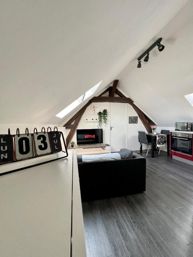 Bel Appartement Lumineux 35M2, Bord De Loire Saint-Jean-le-Blanc Eksteriør billede