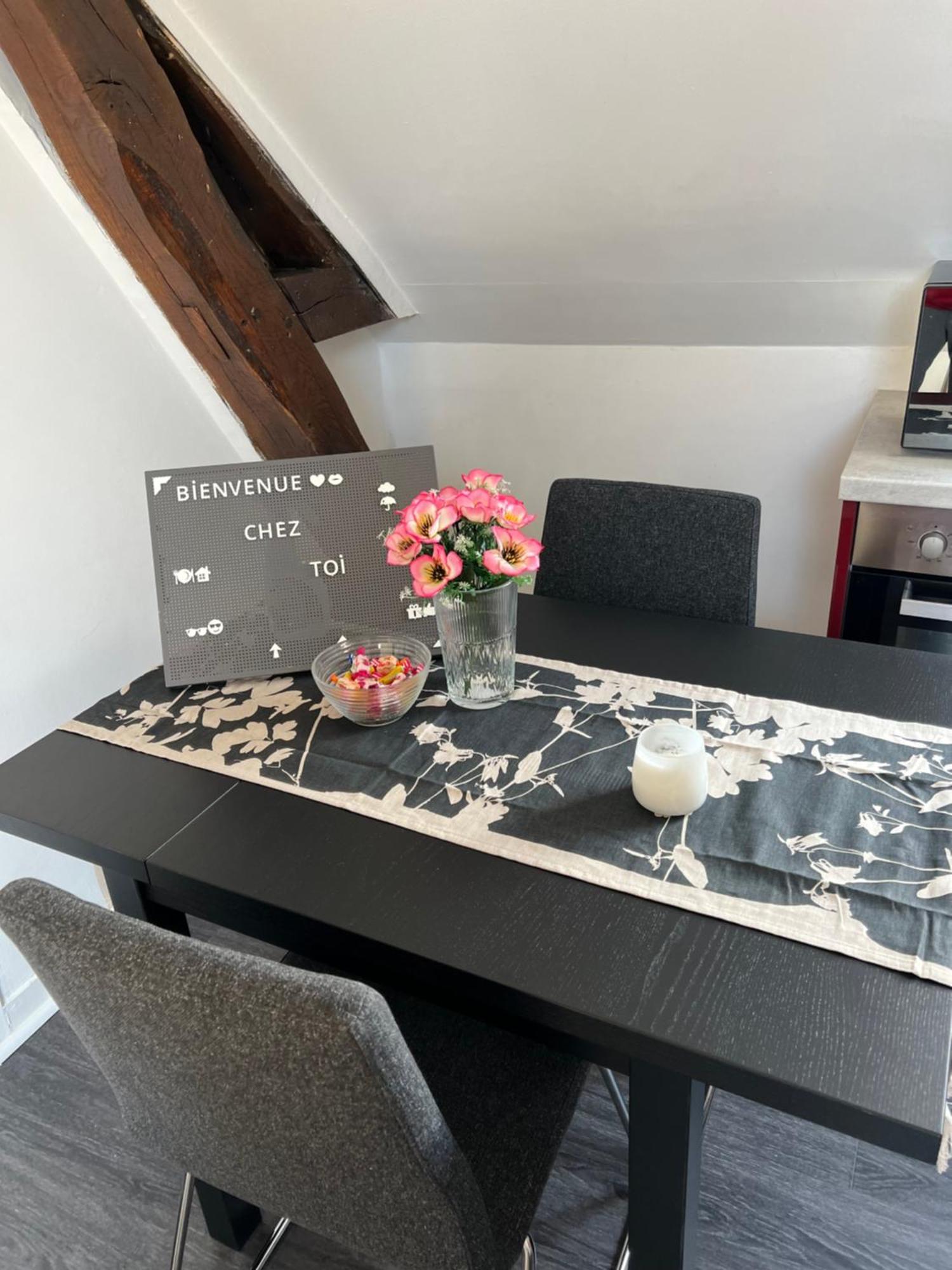 Bel Appartement Lumineux 35M2, Bord De Loire Saint-Jean-le-Blanc Eksteriør billede